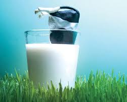 بازار توزیع شیر شتر