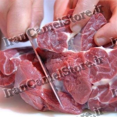 بازار داغ خرید و فروش گوشت شتر کرج